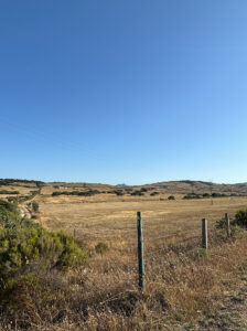 visitaiviuenfamilia-3